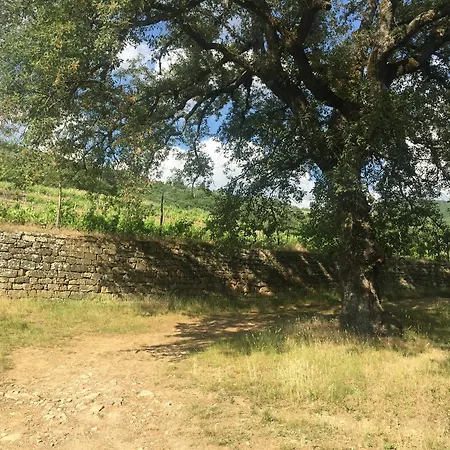 Aparthotel La Grotta San Giustino Valdarno